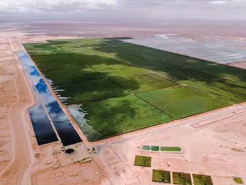 Bauer Resources operates the world's largest reed bed treatment plant in Nimr