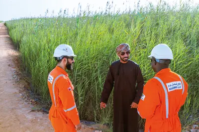 The constructed wetland in Oman will be operated by Bauer Resources until the year 2044